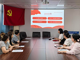 守正为民，廉洁行医—— 雅安仁康医院党支部换届选举活动